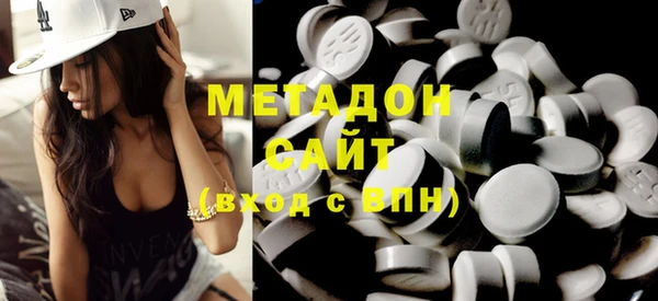индика Алексин