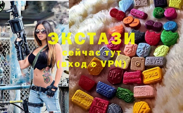 индика Алексин