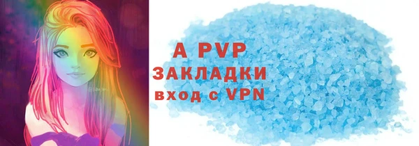 индика Алексин
