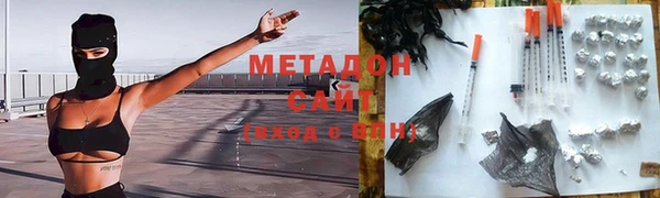 индика Алексин