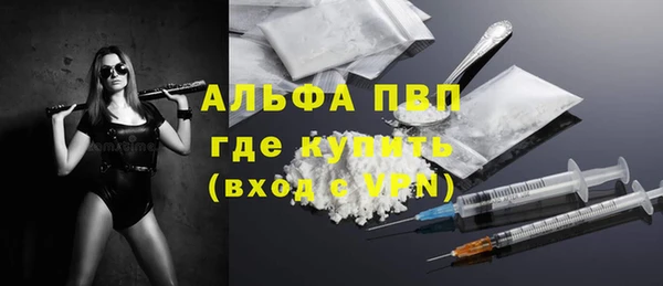 индика Алексин
