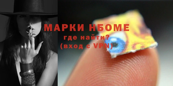 индика Алексин