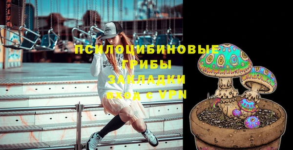 индика Алексин