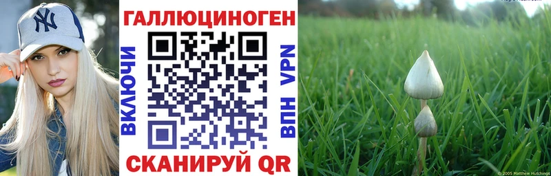 Псилоцибиновые грибы Cubensis  Лермонтов 